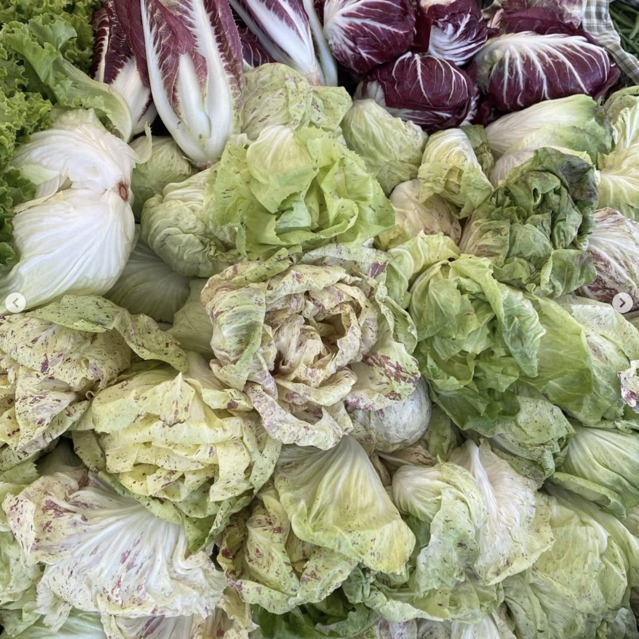 Mercato prolungato Camisano Vicentino