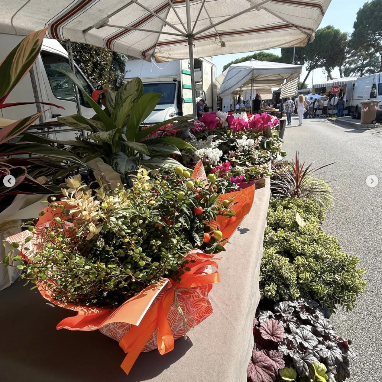 Mercato prolungato Camisano Vicentino